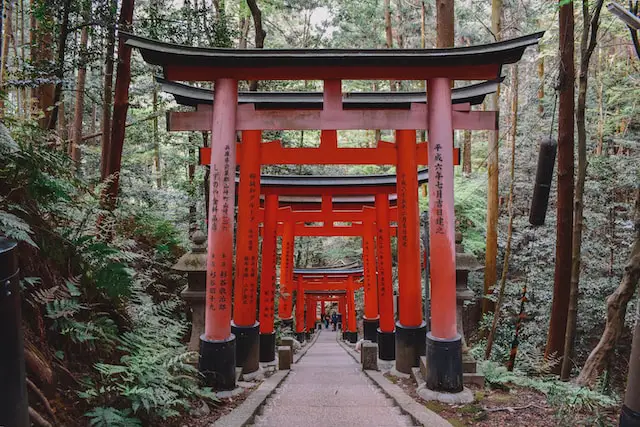Eco-Travel in Japan: Sustainable and Green Destinations for the Conscious Traveler