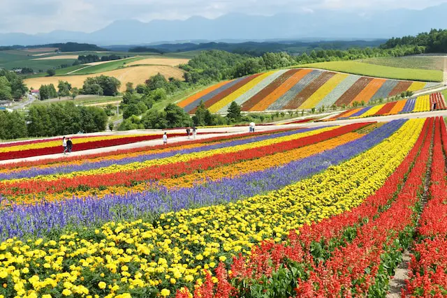 The Hidden Beauty of Sapporo: Unveiling its Unknown Tourist Destinations