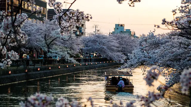 Embracing Kyoto’s Scenic Beauty: Must-Visit Spots for Solo Travelers