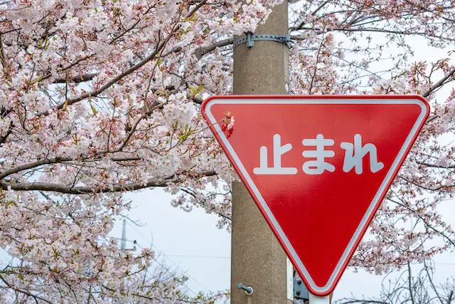 Essential Japanese Phrases for Tourists: A Quick and Easy Language Guide