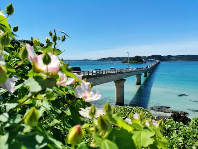 Unearthing the Secrets of Okinawa: Island Culture, History, and Beaches