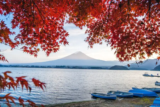 Quick Guide to Japan’s Best Seasonal Activities and Events
