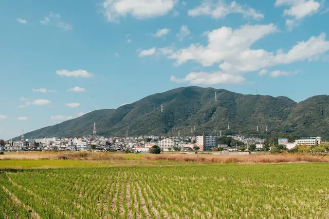 A Taste of Rural Life: Agritourism and Farm Stays in Japan’s Countryside