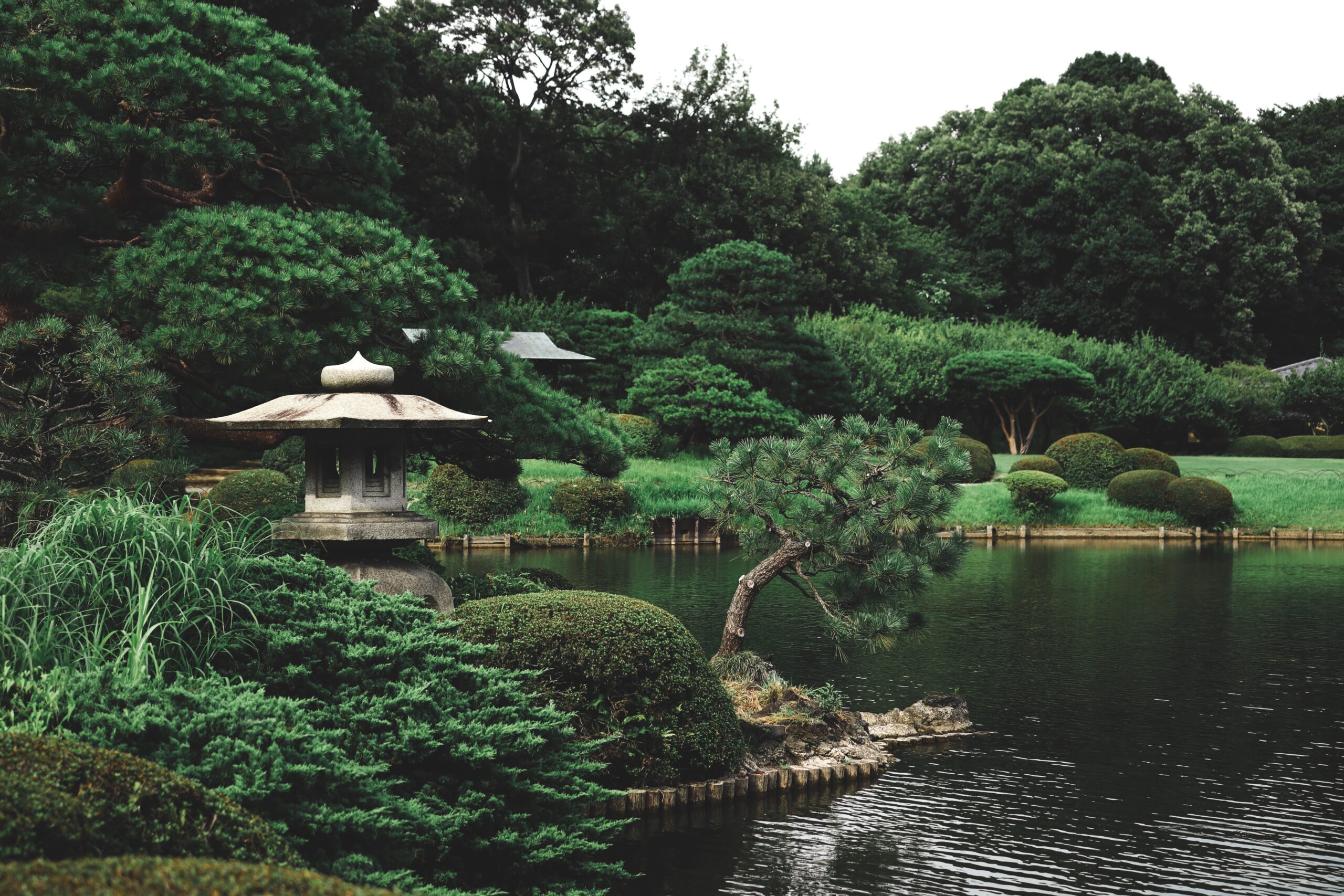 Shinjuku Gyoen National Park Tokyo